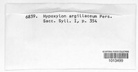 Hypoxylon fragiforme image